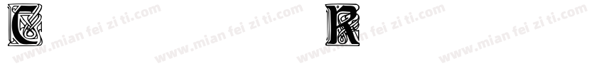Carrick Regular字体转换